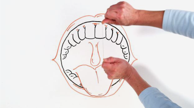 Zahnseide und Interdentalbürsten